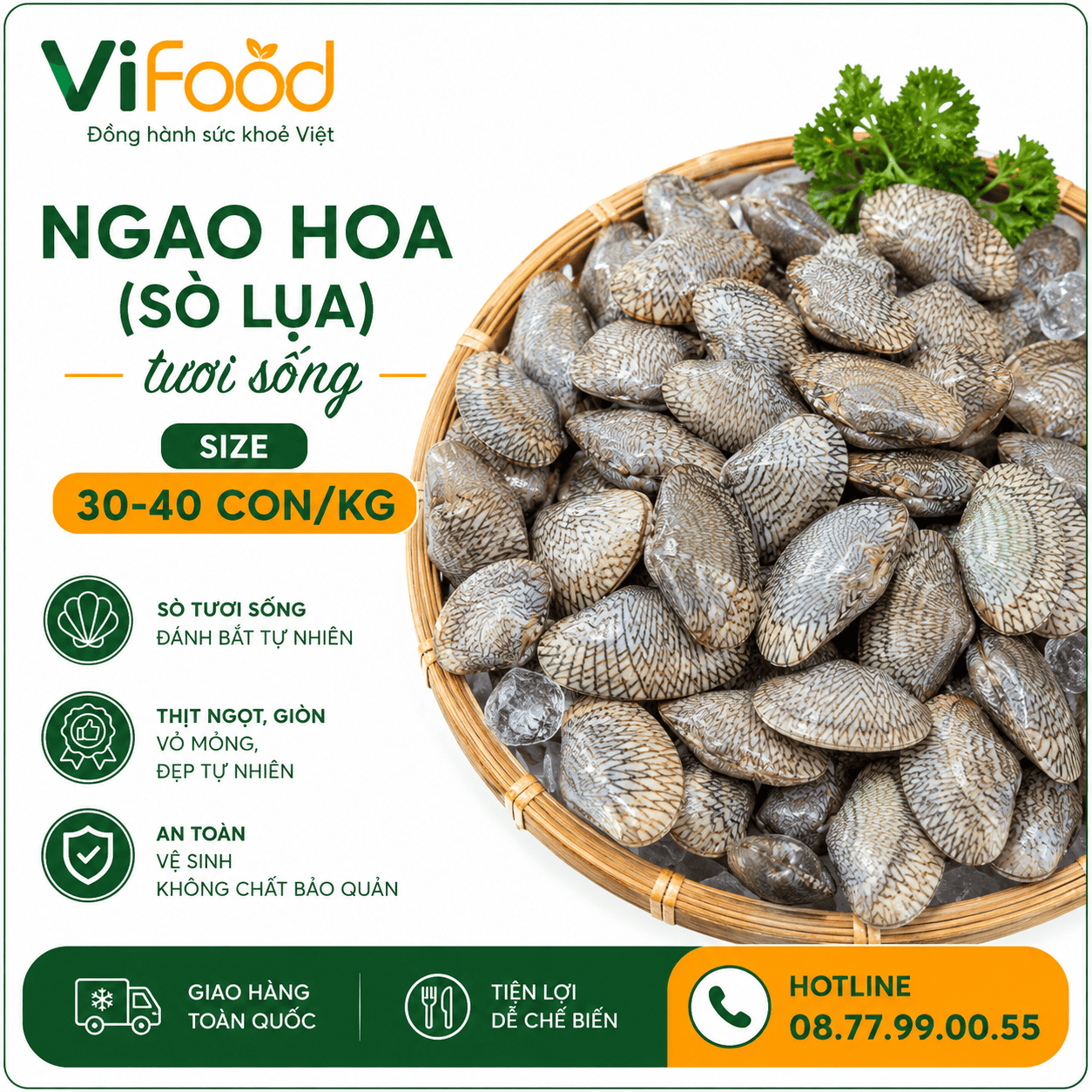 Ngao hoa (sò lụa) sống 30-40 con/kg