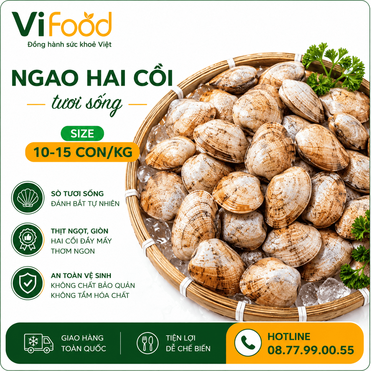 Ngao hai cồi sống 10-15 con/kg