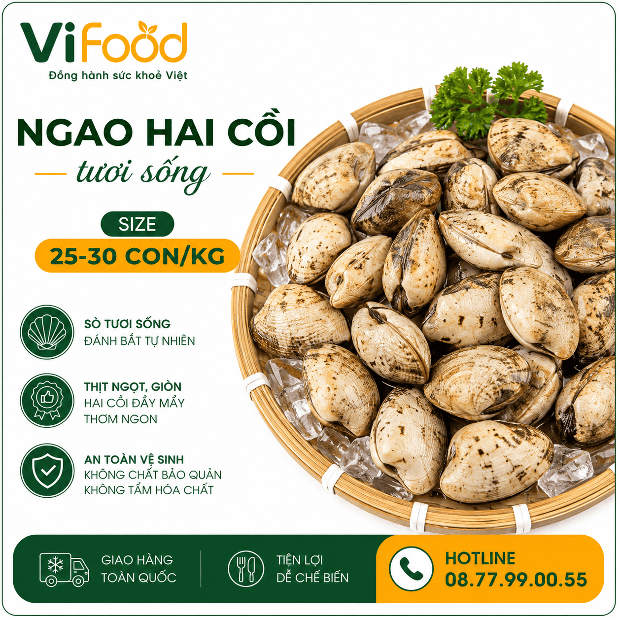 Ngao hai cồi sống 25-30 con/kg