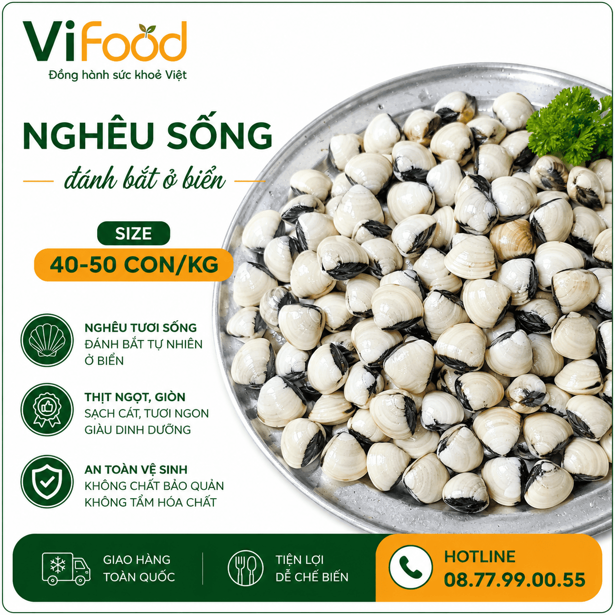 Nghêu sống, đánh bắt ở biển size 40-50 con/kg