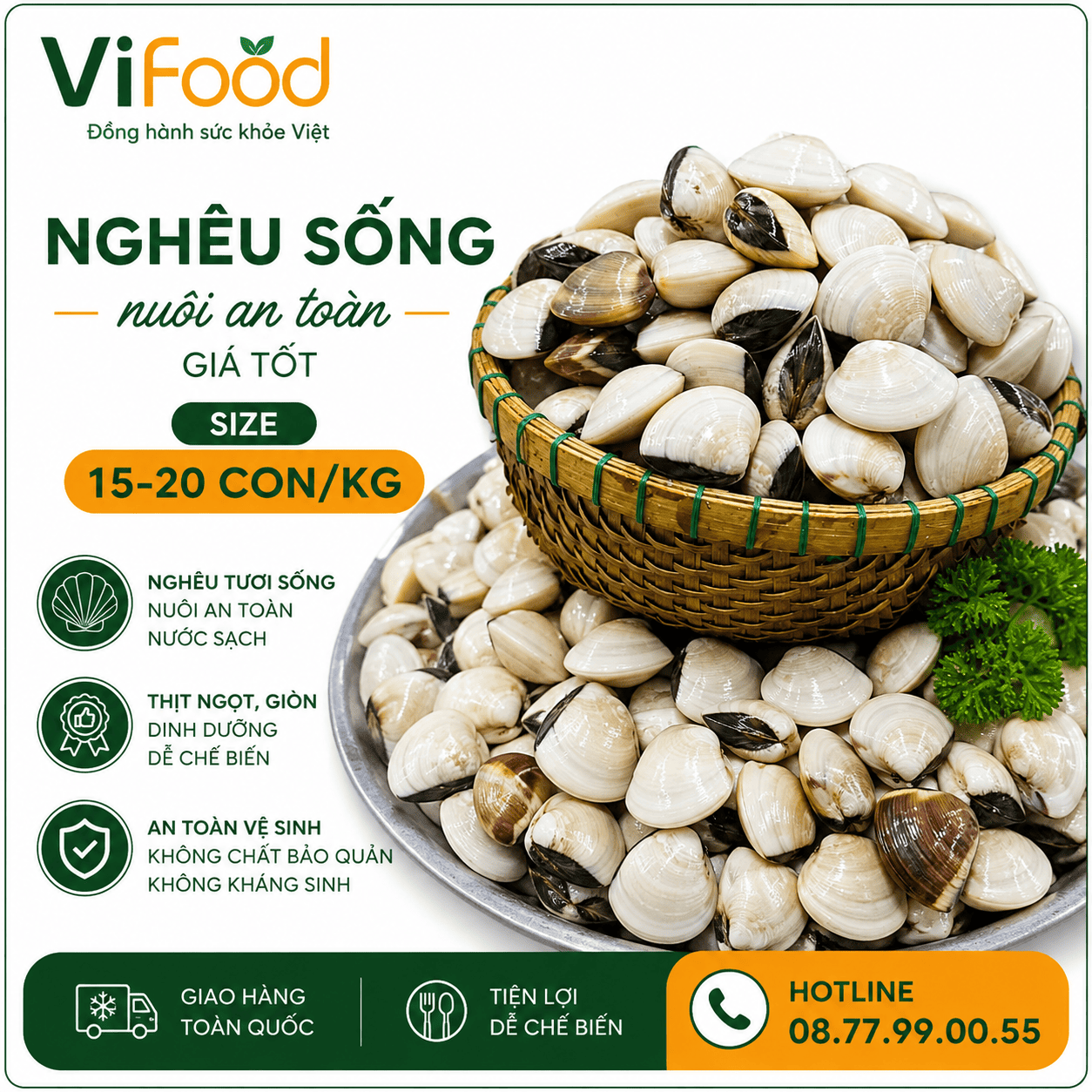 Nghêu sống, nuôi an toàn giá tốt size 15-20 con/kg