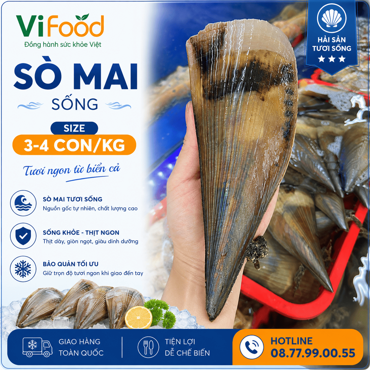Sò mai sống size 3-4 con/kg