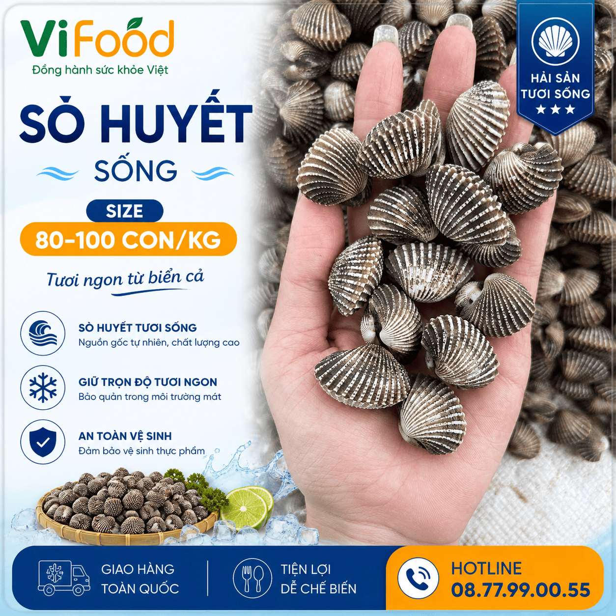 Sò huyết sống size 80-100 con/kg