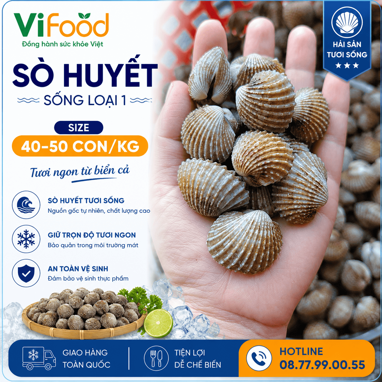 Sò huyết sống loại 1 size 40-50 con/kg