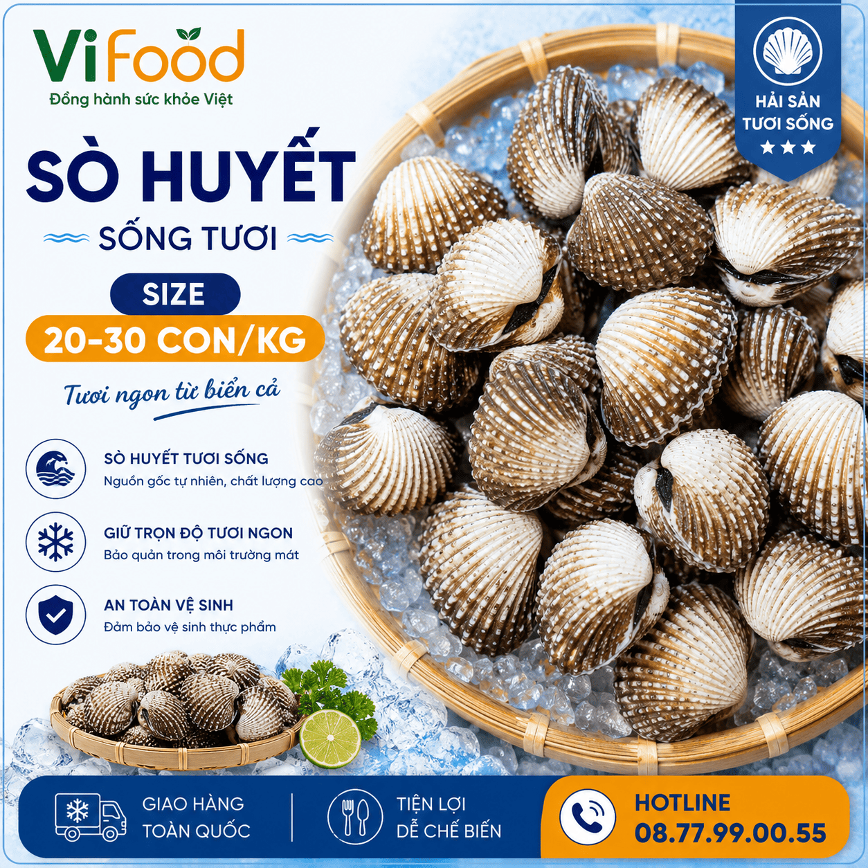 Sò huyết sống size 20-30 con/kg