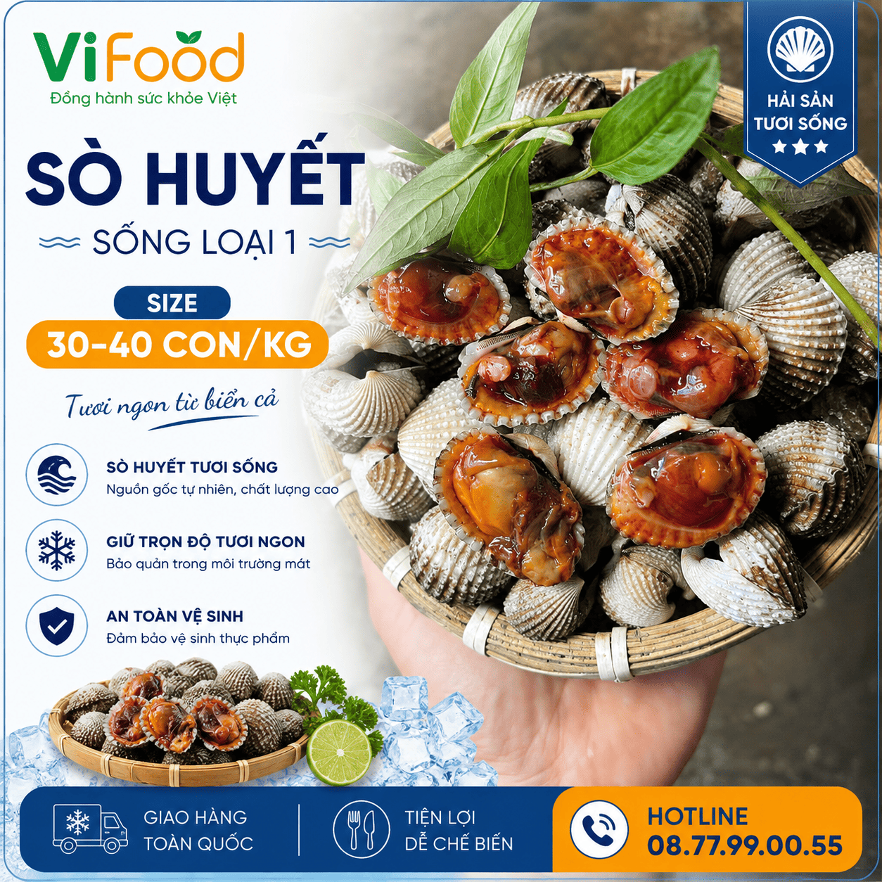 Sò huyết sống loại 1 size 30-40 con/kg