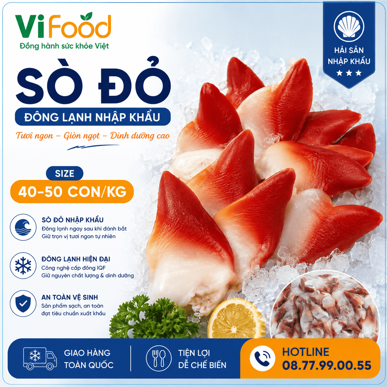 Sò đỏ đông lạnh nhập khẩu 40-50 con/kg