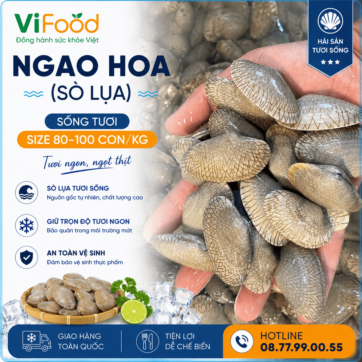 Ngao hoa (sò lụa) sống 80-100 con/kg