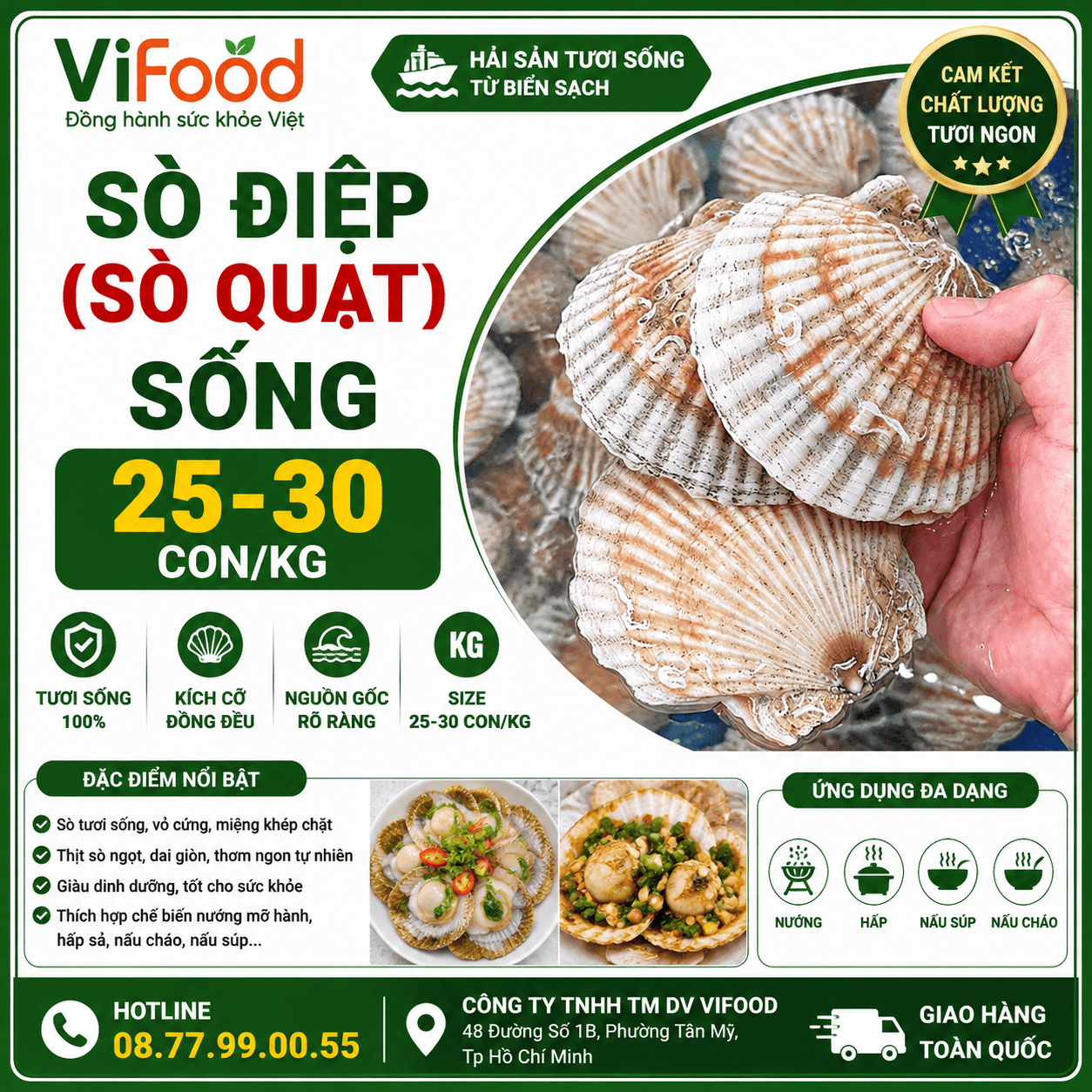 Sò điệp (sò quạt) sống 25-30 con/kg