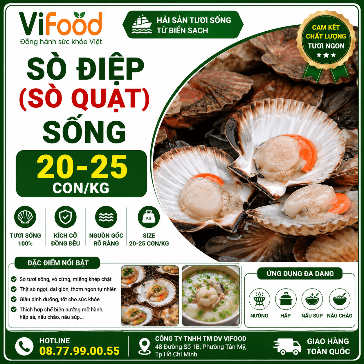Sò điệp (sò quạt) sống 20-25 con/kg