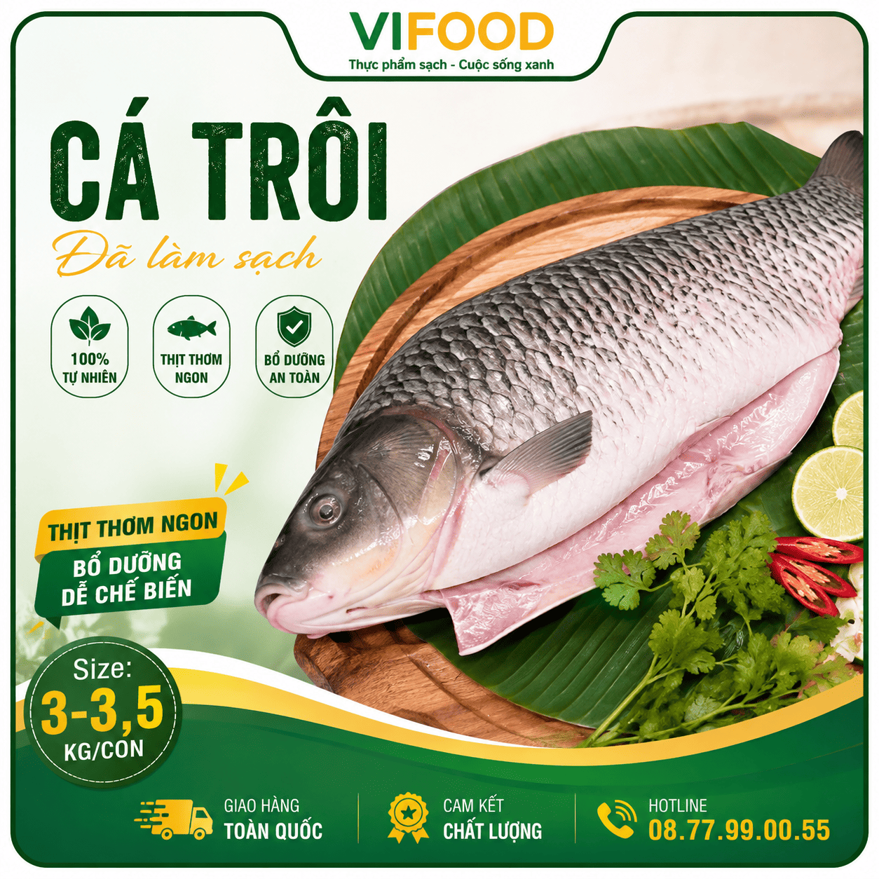 Cá trôi đã làm sạch thịt thơm ngon bổ dưỡng Size 3-3,5 kg/con