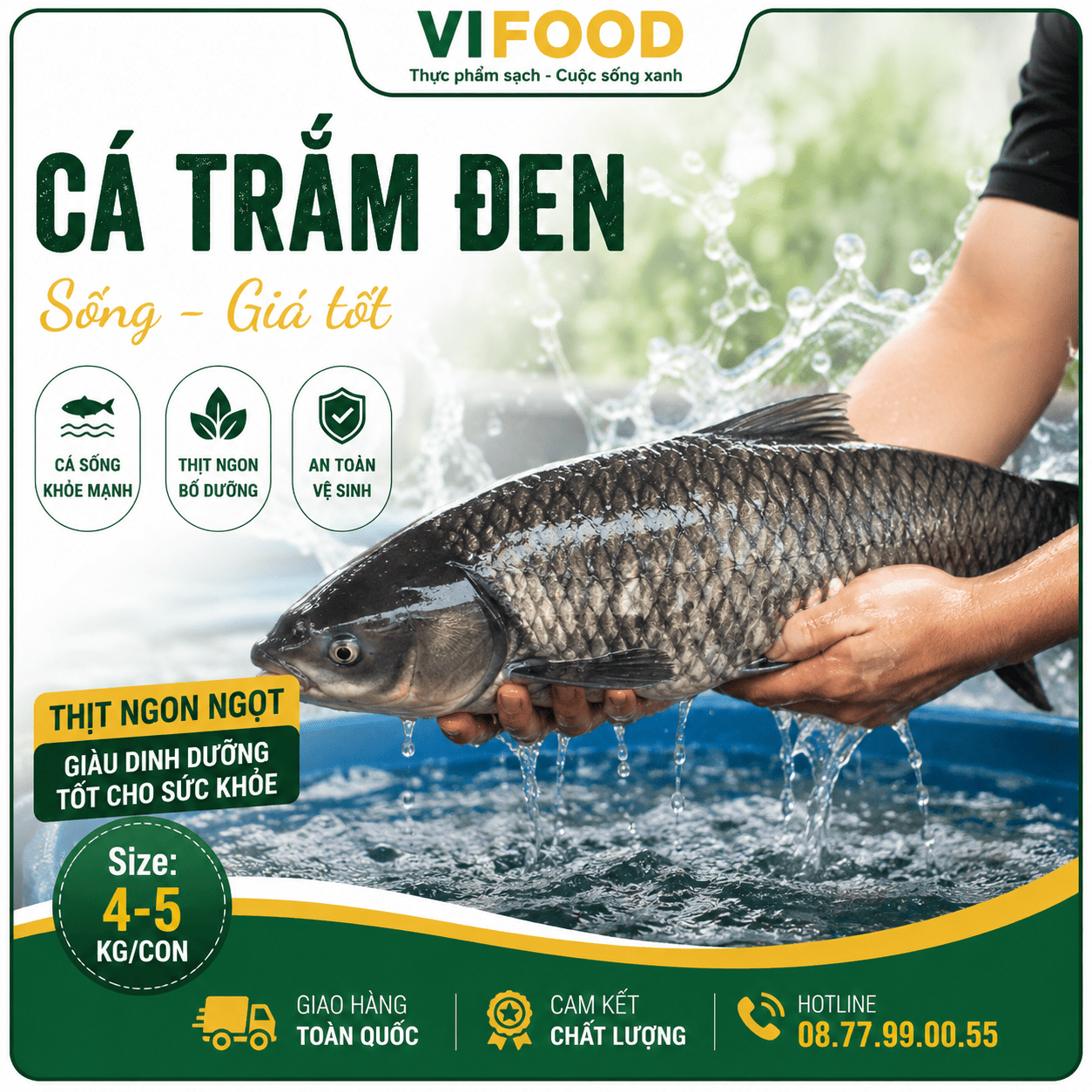 Cá trắm đen sống giá tốt Size 4-5 kg/con