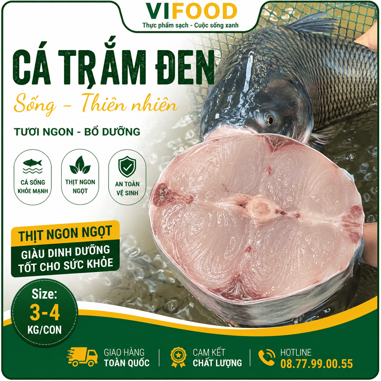 Cá trắm đen còn sống Size 3-4 kg/con