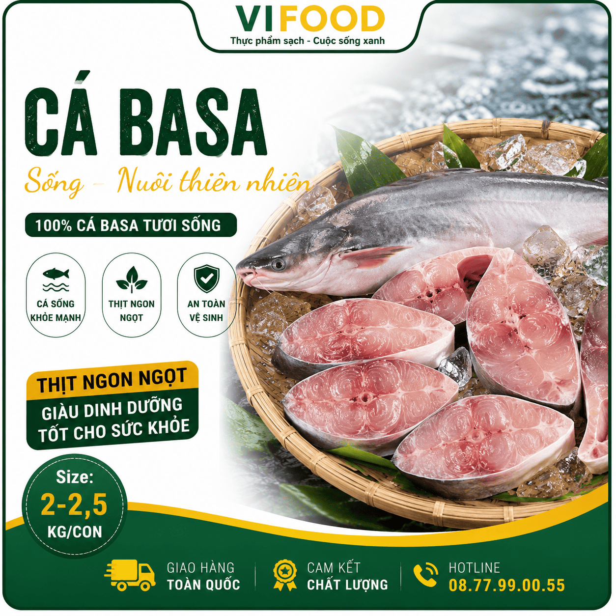 Cá basa sống nuôi thiên nhiên Size 2-2,5 kg/con