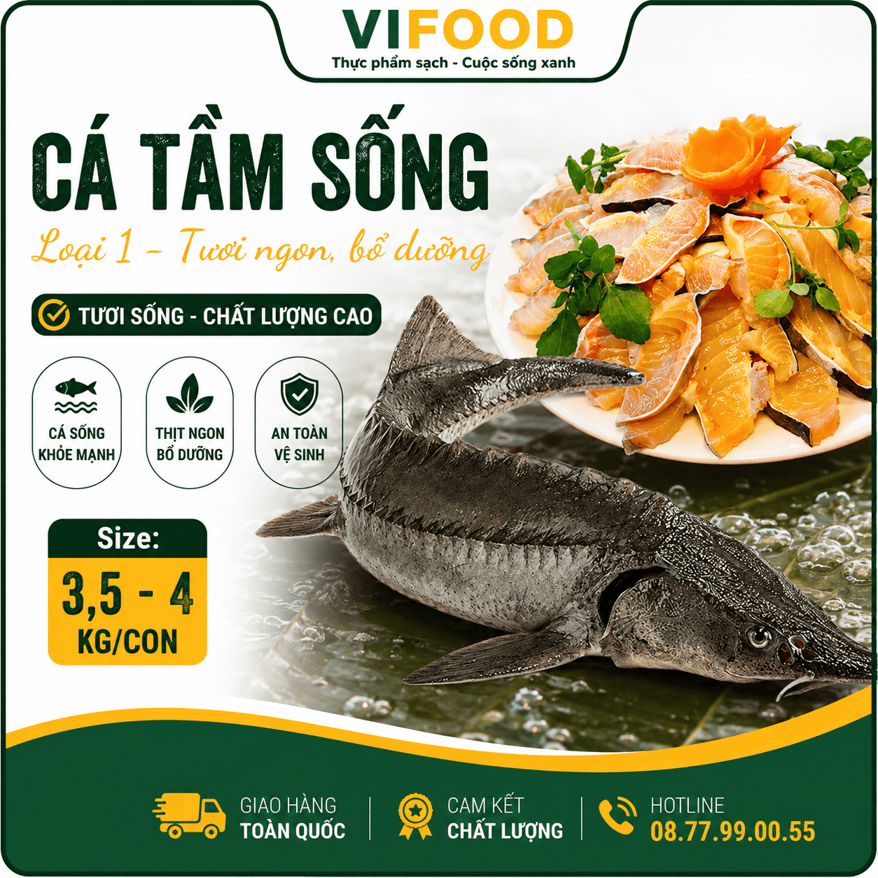 Cá tầm sống loại 1 Size: 3,5-4 kg/con