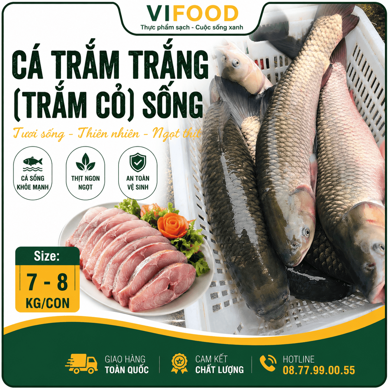 Cá trắm trắng (trắm cỏ)sống Size 7-8 kg/con