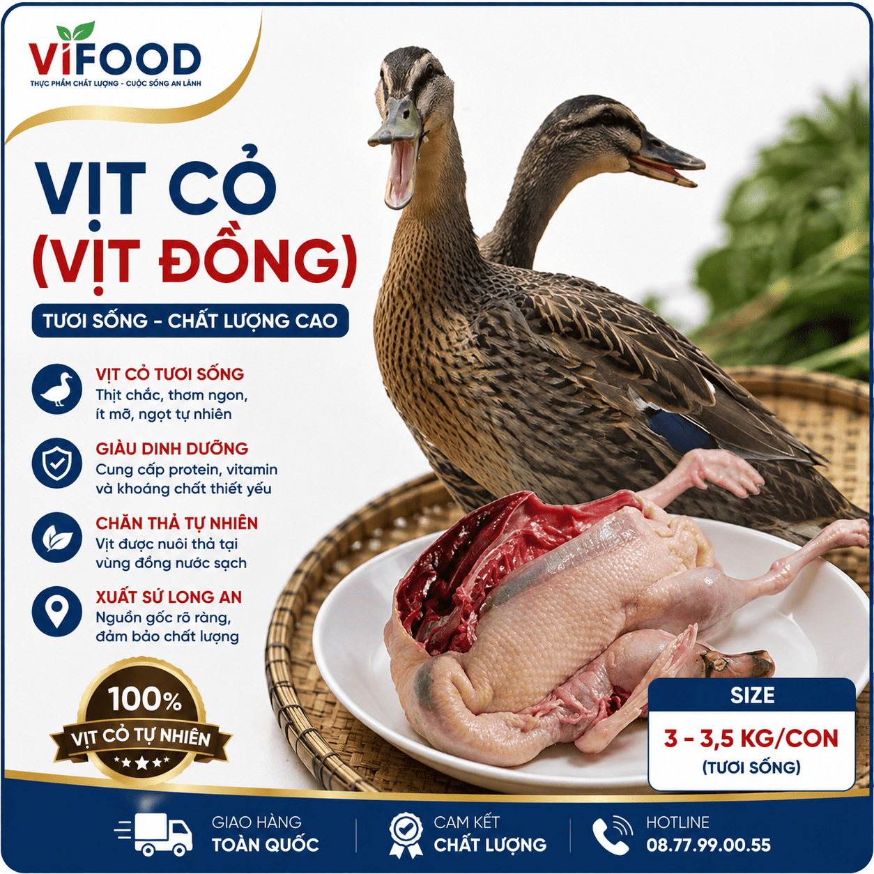 Vịt cỏ (vịt đồng) sống Size: 3-3,5 kg/con Xuất sứ Long An