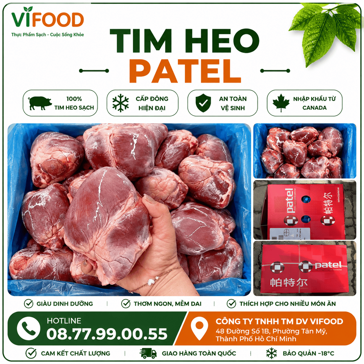 Tim heo Patel