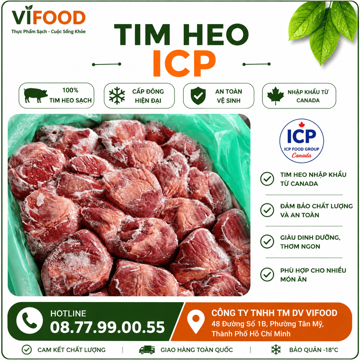 Tim heo ICP