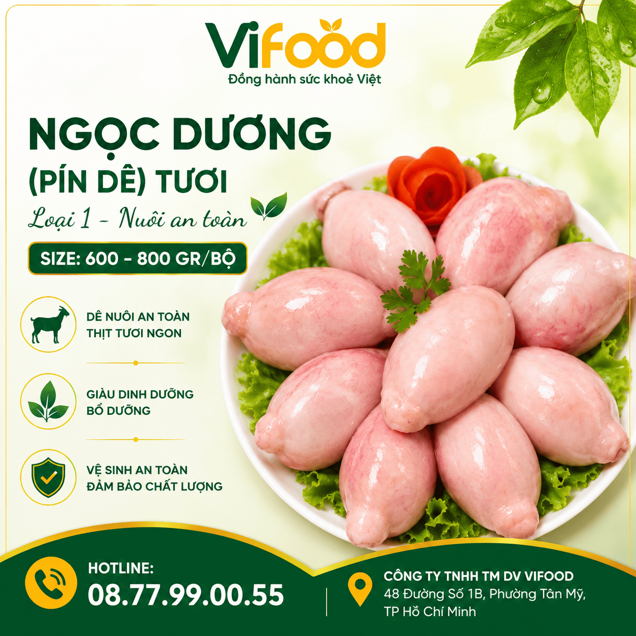 Ngọc dương (pín dê) tươi loại 1, nuôi an toàn Size 600-800 gr/bộ
