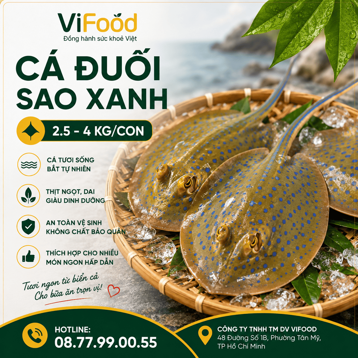 Cá Đuối Sao Xanh (2.5 - 4 kg)