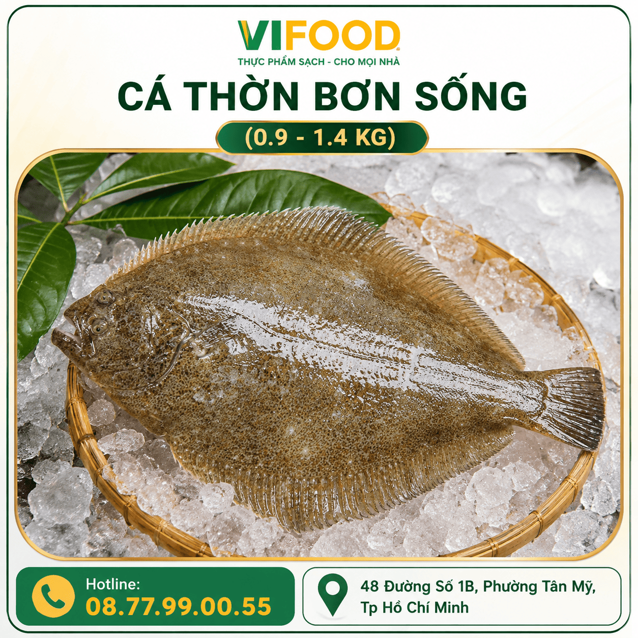 Cá Thờn Bơn sống (0.9 - 1.4 kg)