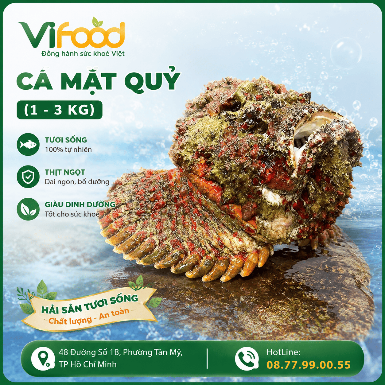 Cá mặt quỷ (1- 3 Kg)