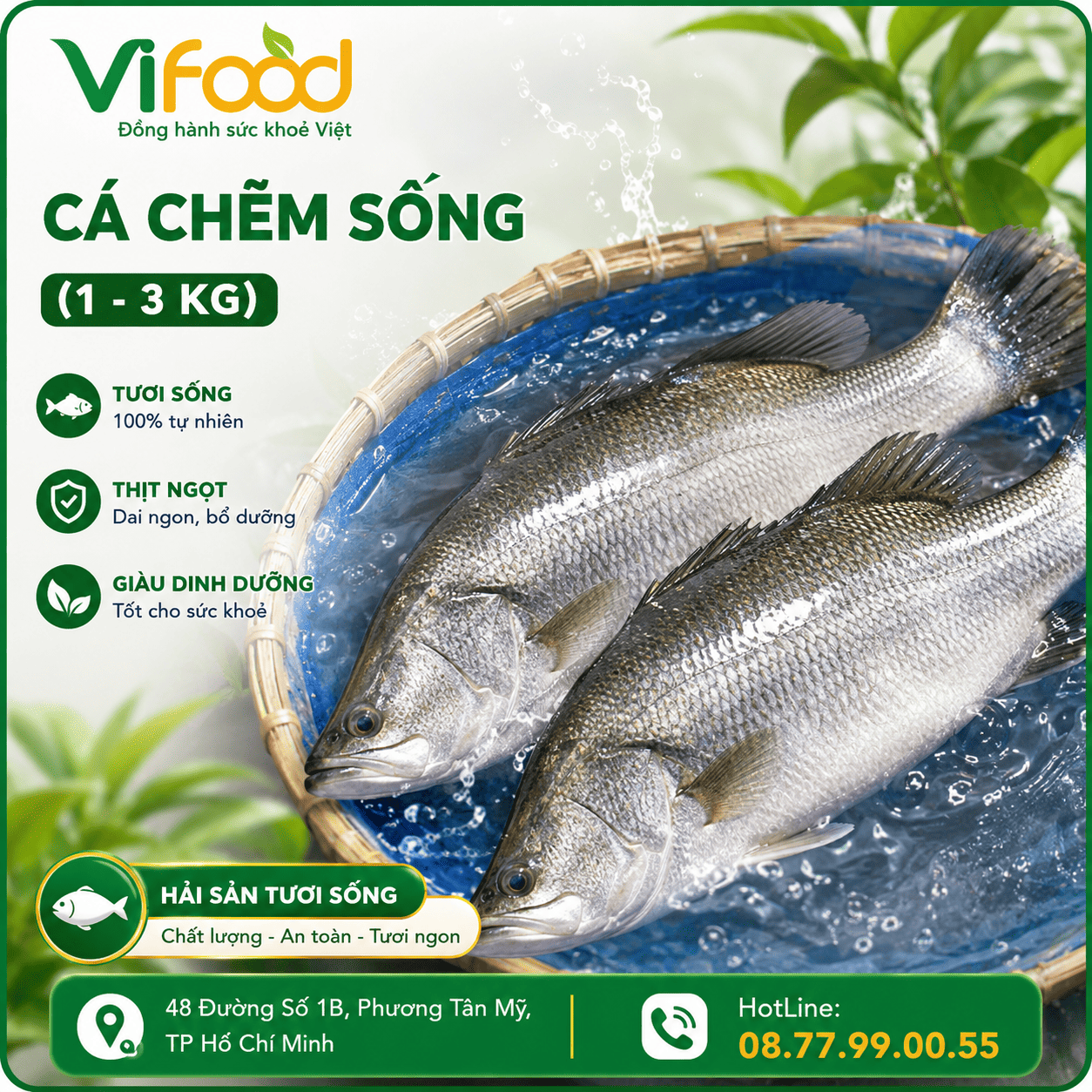 Cá Chẽm Sống (1 - 3 Kg)