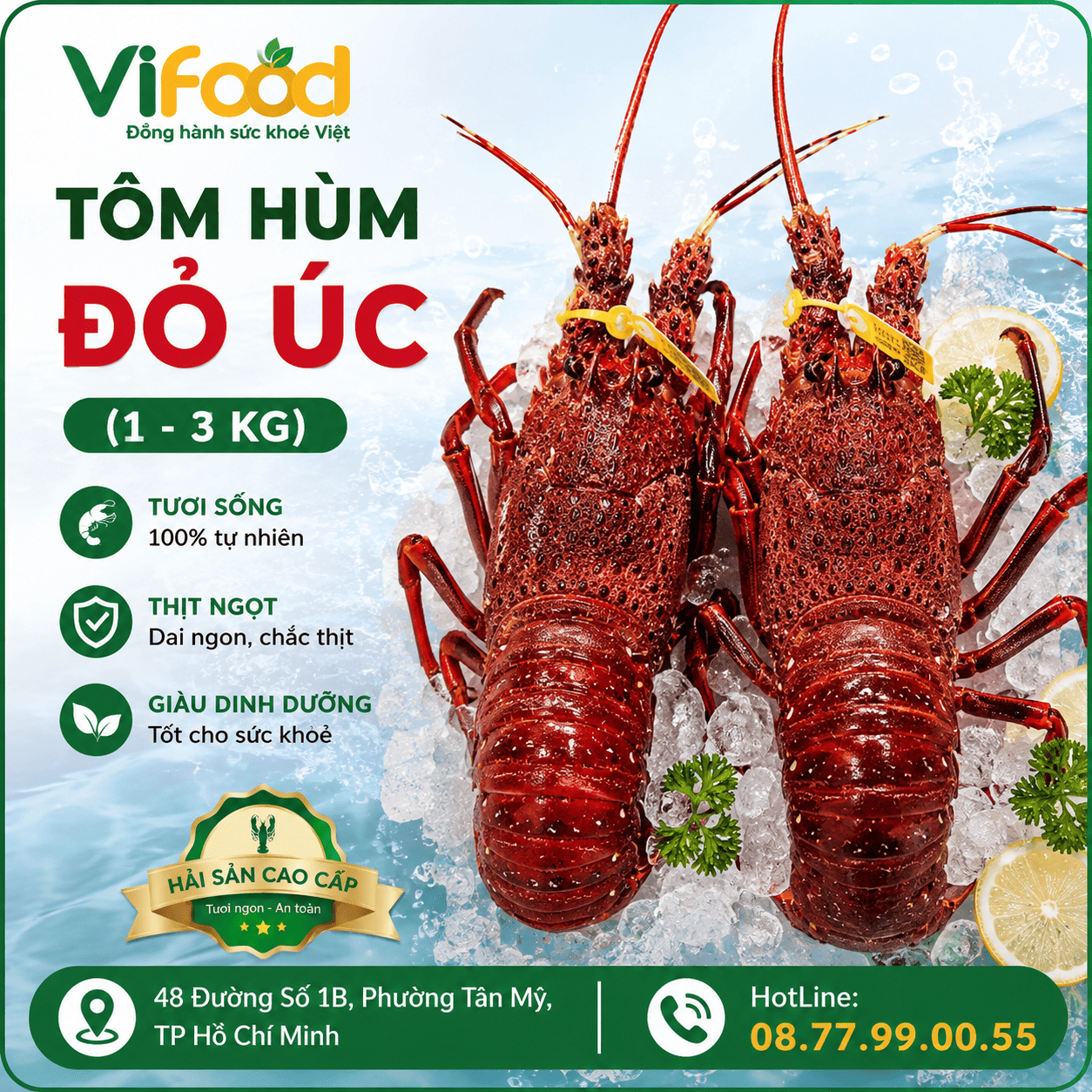 Tôm hùm đỏ Úc (1 - 3 kg)