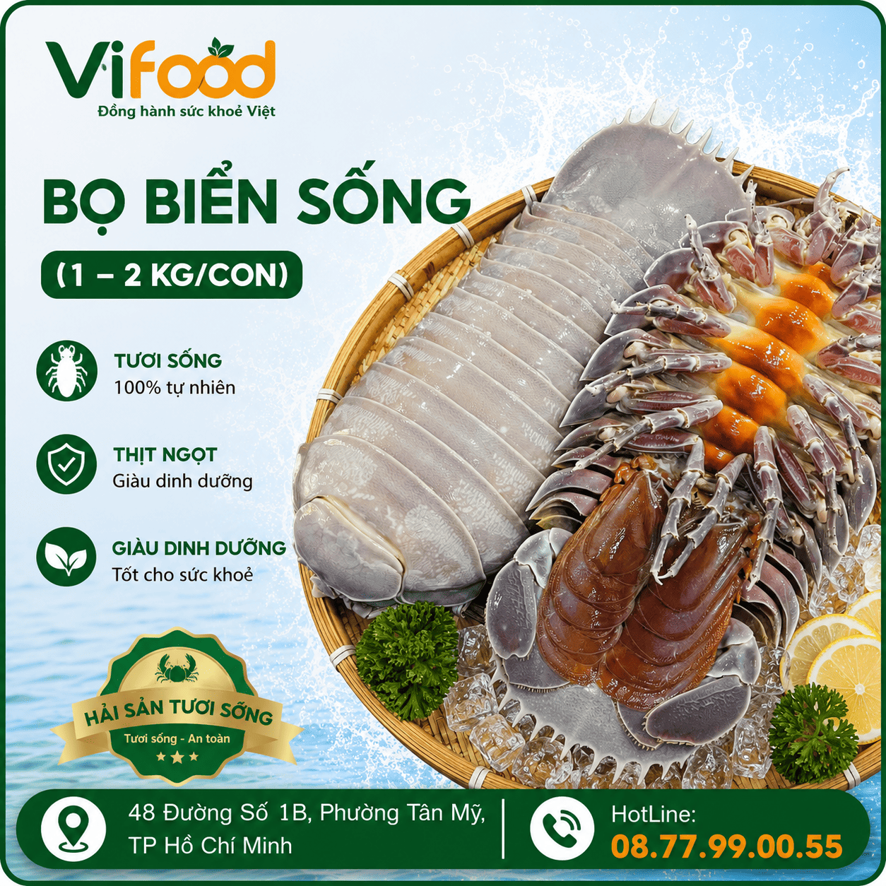 Bọ Biển sống (1–2 kg/con)