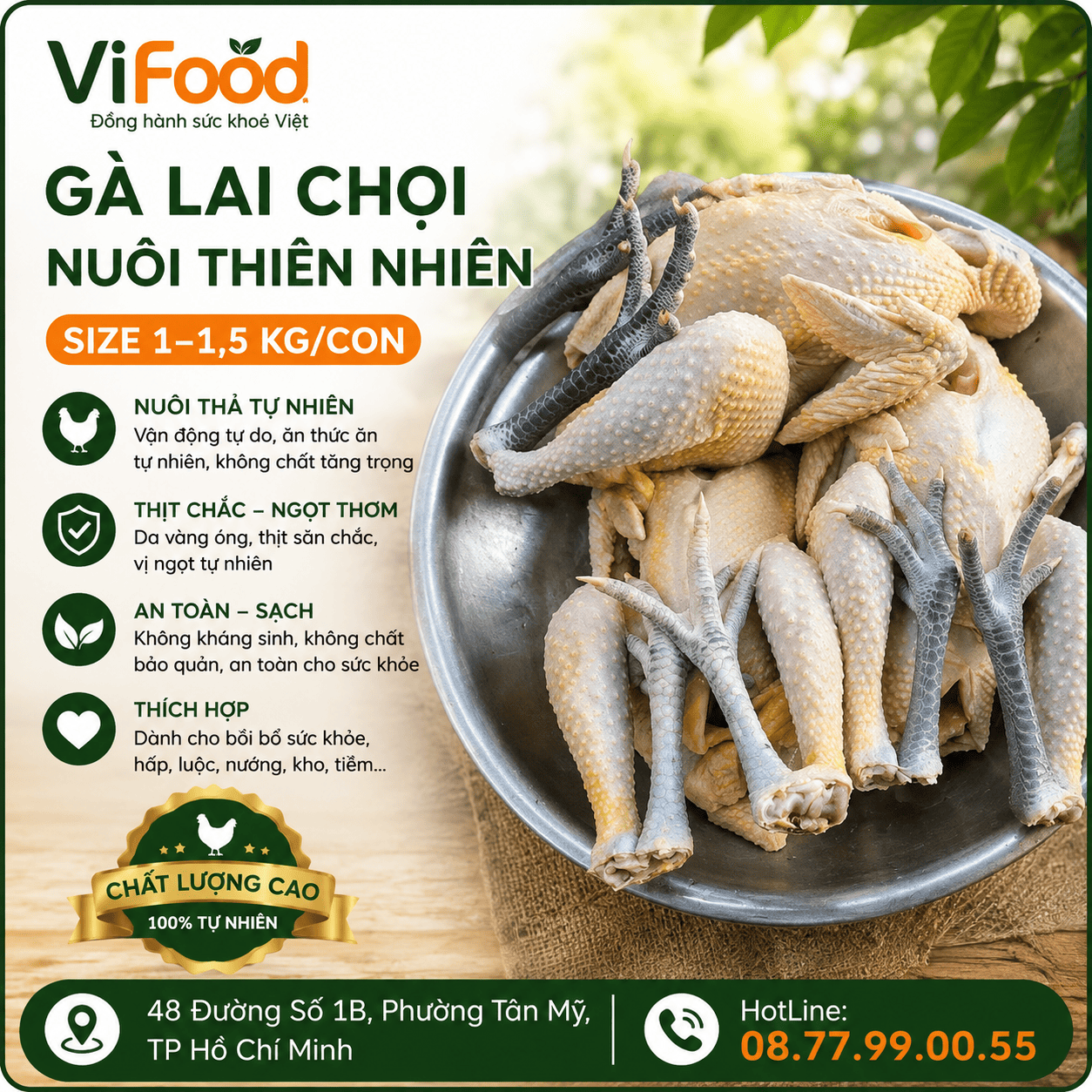 Gà lai chọi nuôi thiên nhiên Size 1-1,5 kg/con