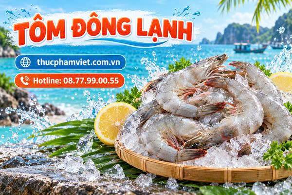 Nơi bán sỉ Tôm đông lạnh tại Xã Cần Giờ