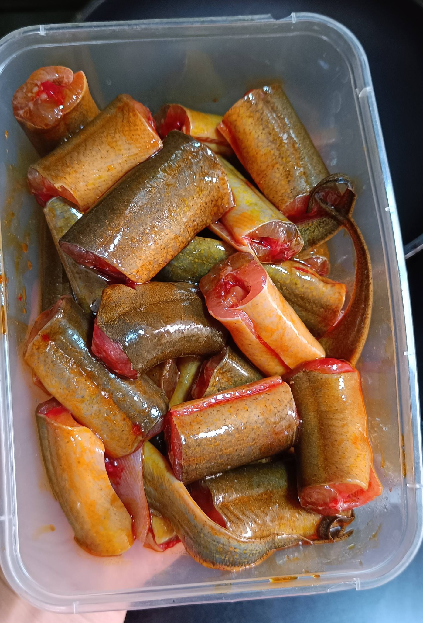 Vựa Lươn Tươi Sống Giá Sỉ Tại TP.HCM | Lươn Sống Bỏ Mối Mỗi Ngày