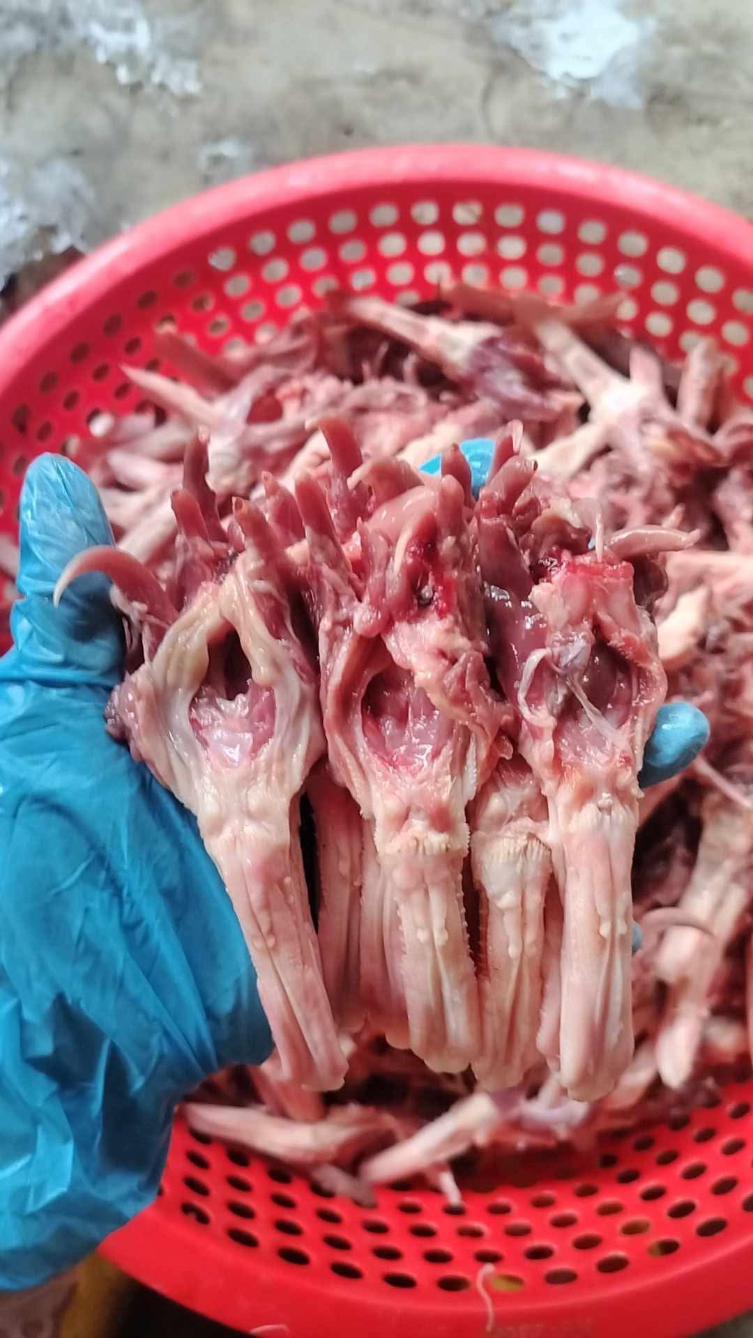 Lưỡi vịt tươi VIFOOD