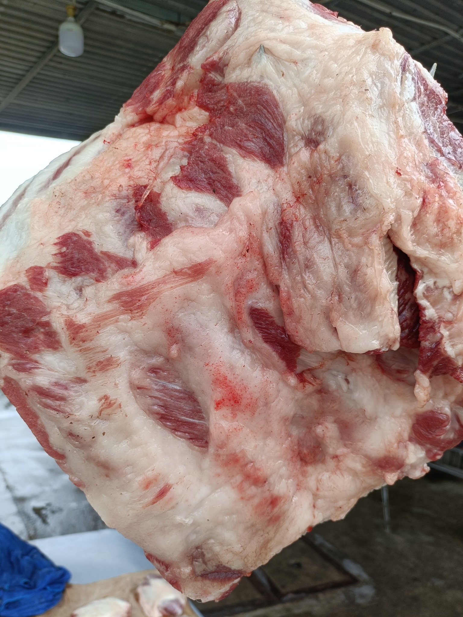 Sườn dăm heo tươi VIFOOD