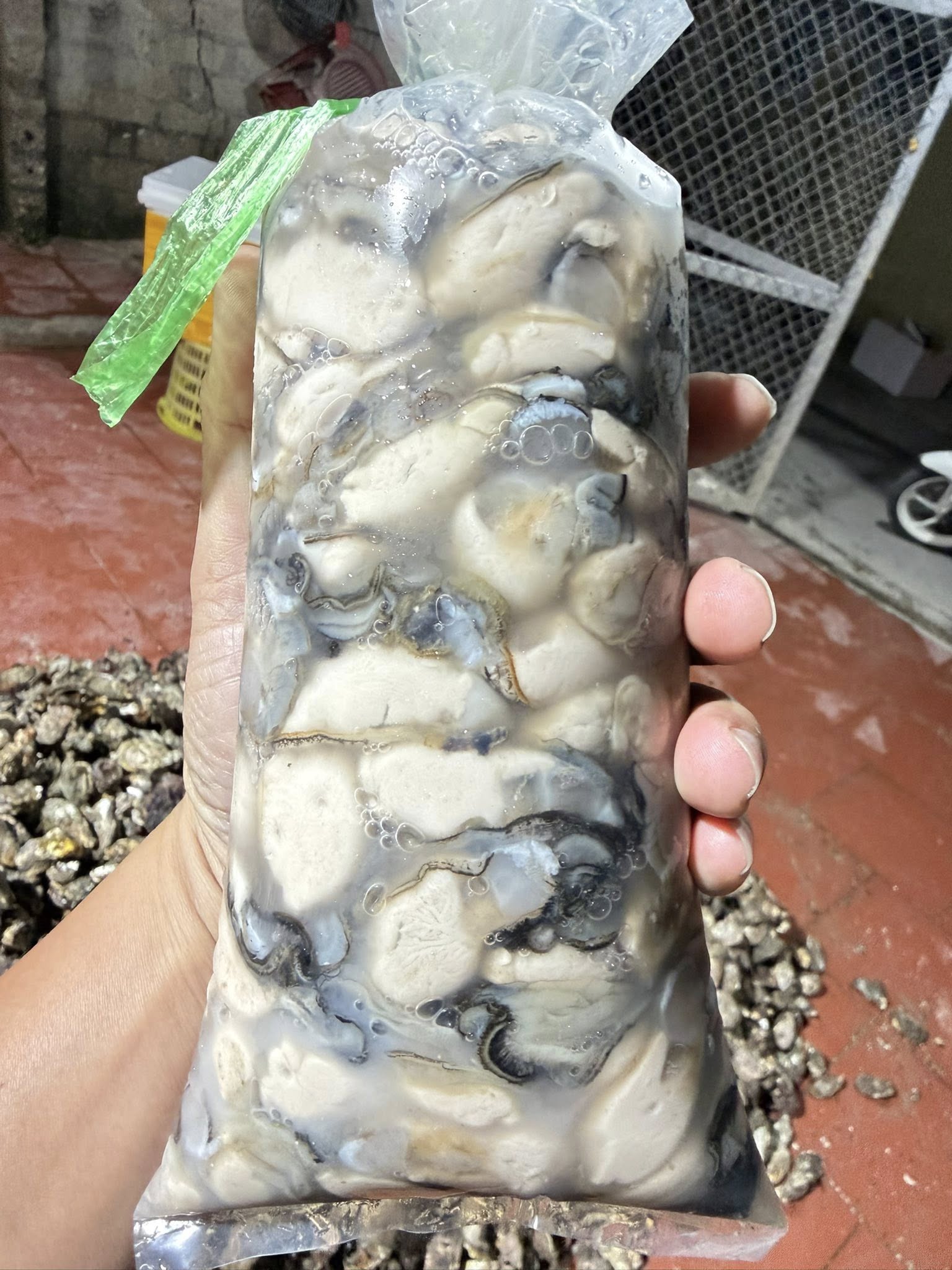 Ruột hàu sữa hào sữa tươi sống giá sỉ