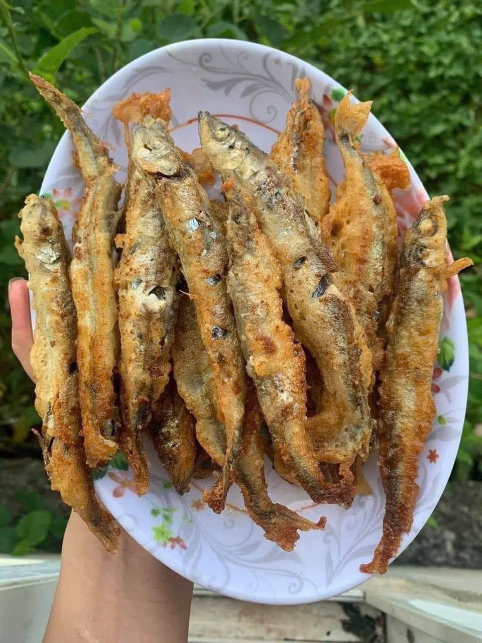 Cá trứng đông lạnh giá sỉ