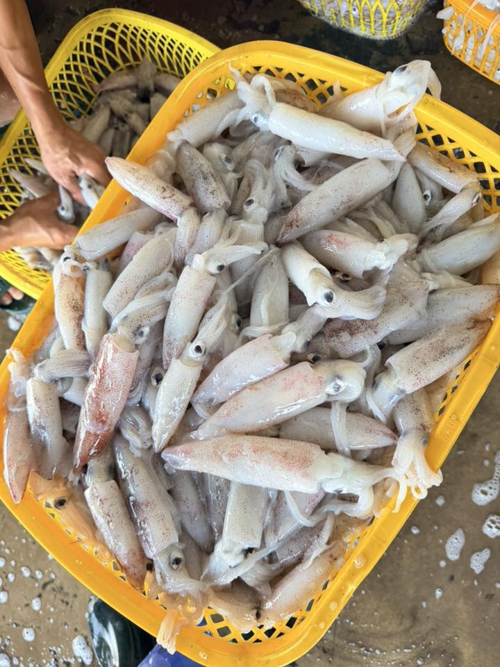 Vựa hải sản tươi sống tại Quận 12 TP.HCM