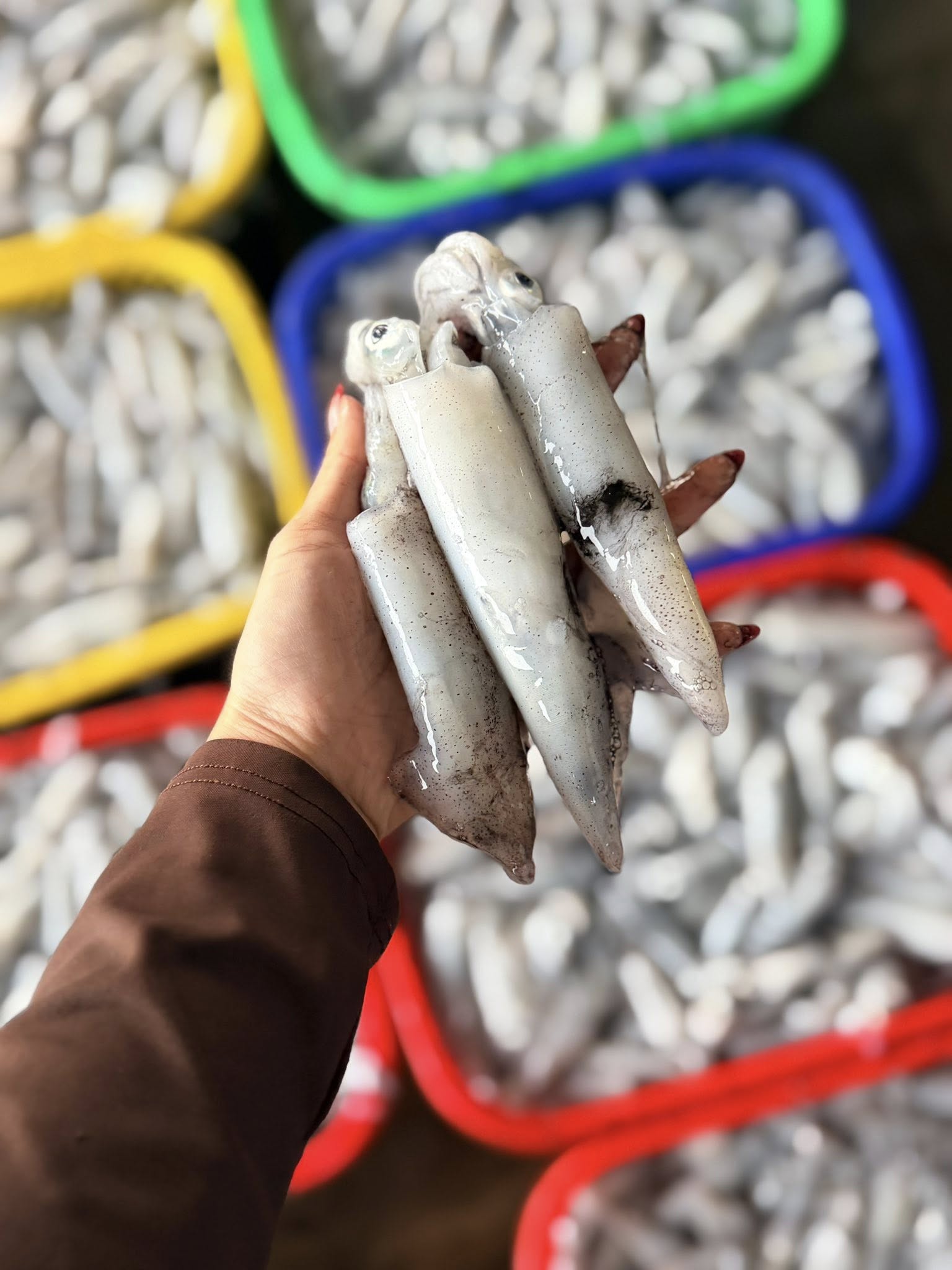 Vựa hải sản tươi sống tại Quận Bình Tân TP.HCM