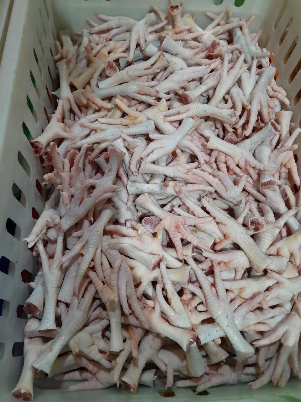 Chân gà đông lạnh giá sỉ