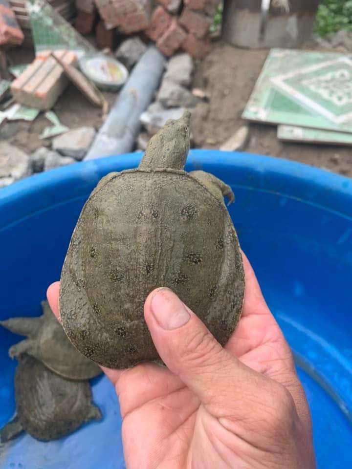 Ba ba sống khỏe mạnh