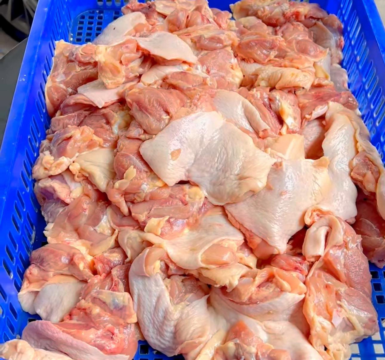 Đùi gà đông lạnh