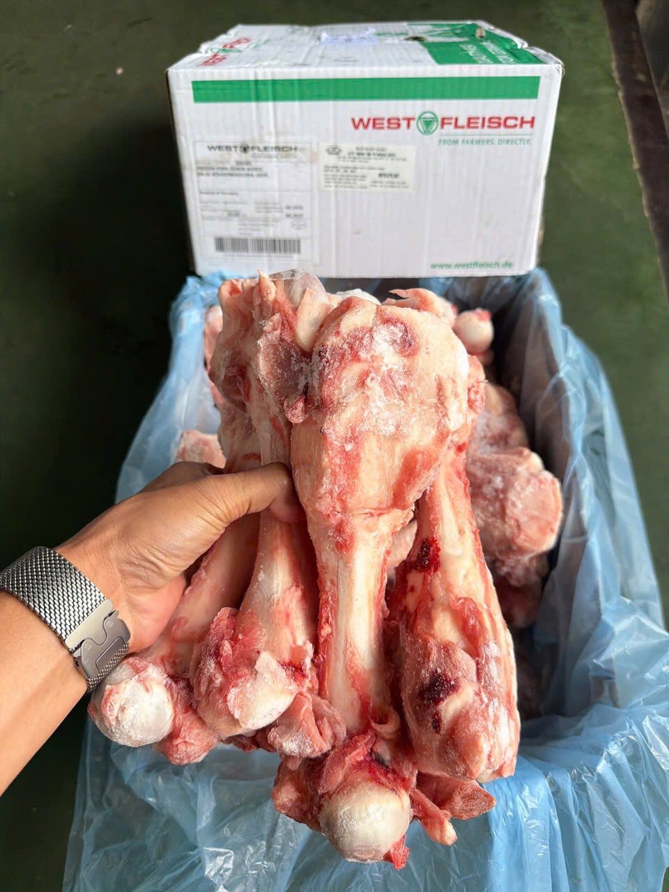 xương ống heo sau wets nhập khẩu