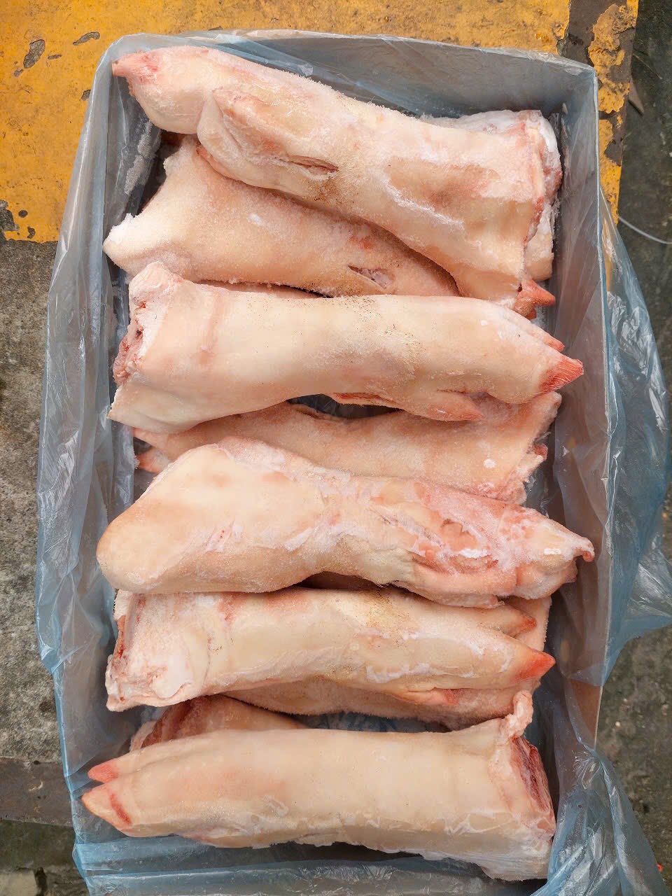 chân giò heo đông lạnh wets 206 trắng đẹp