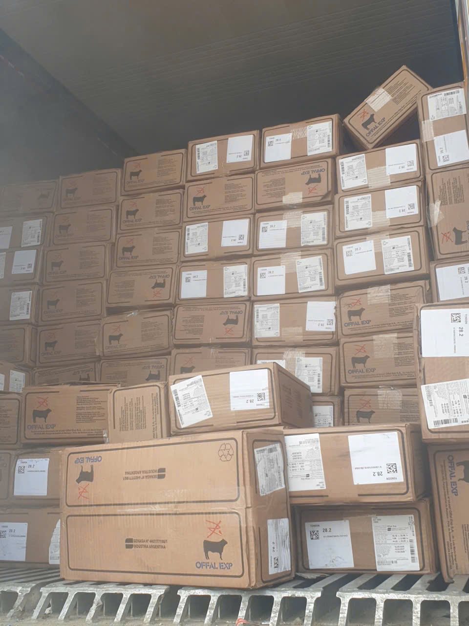 gân bò y nhập khẩu giá sỉ