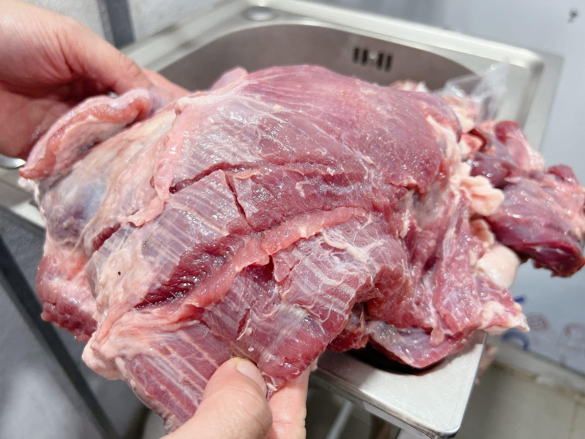 nam trau alsami an do dong lanh