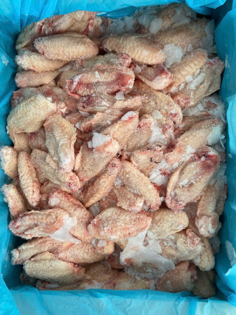 canh ga khuc giua phap loai a dong lanh