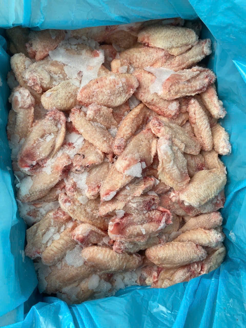 canh ga giua phap loai a gia si