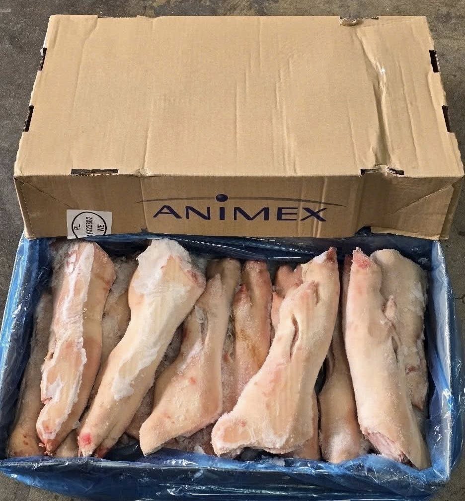 chan gio heo animex dong lanh