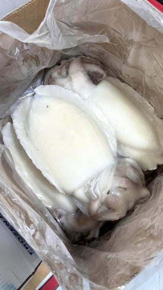 muc nang lam sach dong lanh